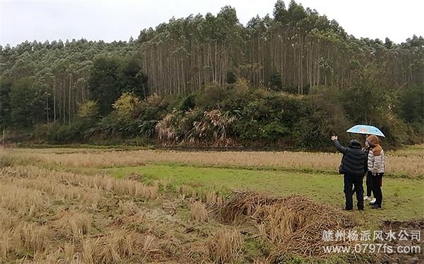 延庆区陈老师带着爱徒寻龙点穴